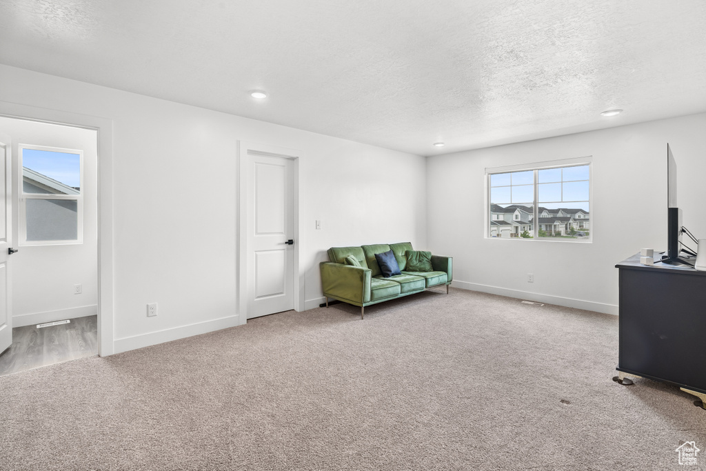Living area featuring carpet floors, a textured ceiling, and recessed lighting