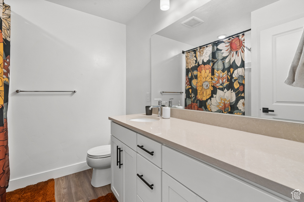 Full bathroom featuring wood finished floors, vanity, and curtained shower