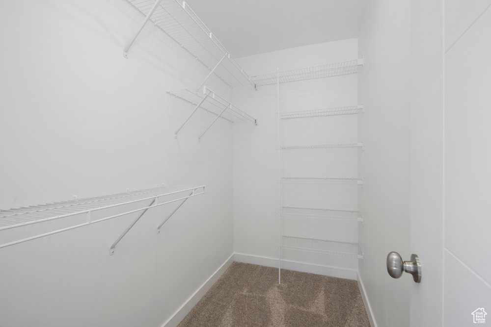 Spacious closet with carpet flooring