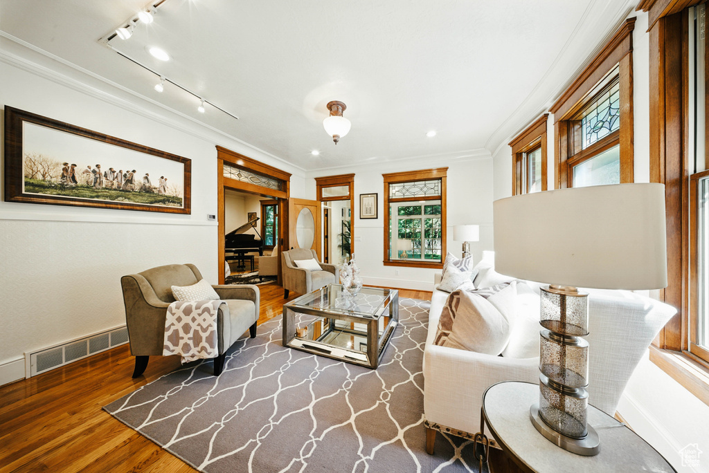 Living area featuring wood finished floors, ornamental molding, plenty of natural light, and track lighting