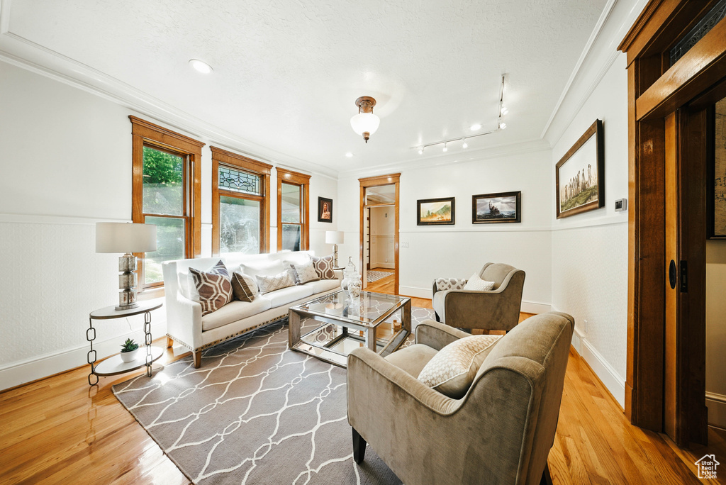 Living room featuring crown molding, wood finished floors, and rail lighting
