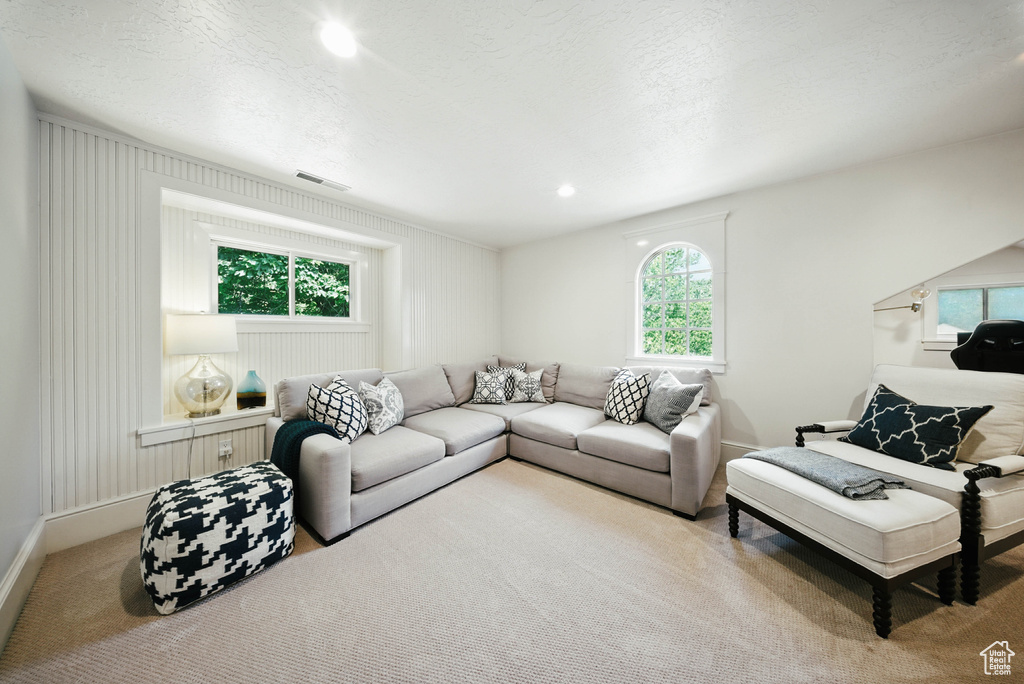 Living room featuring plenty of natural light and carpet flooring