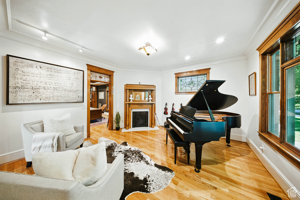 Living area with rail lighting, a fireplace with flush hearth, wood finished floors, and ornamental molding