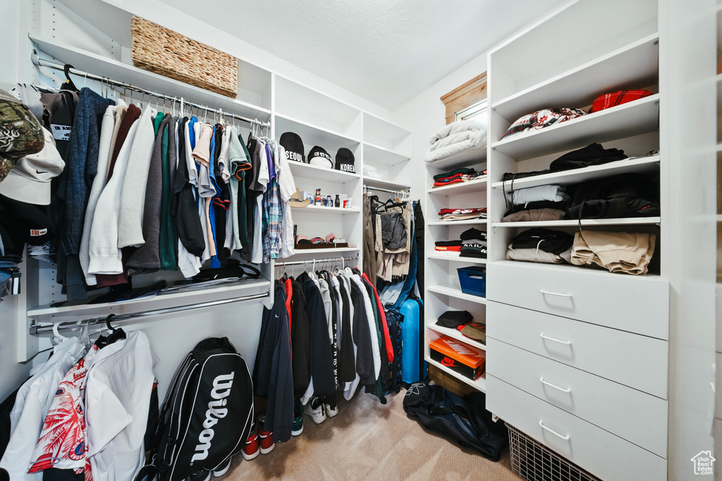 Spacious closet with carpet floors