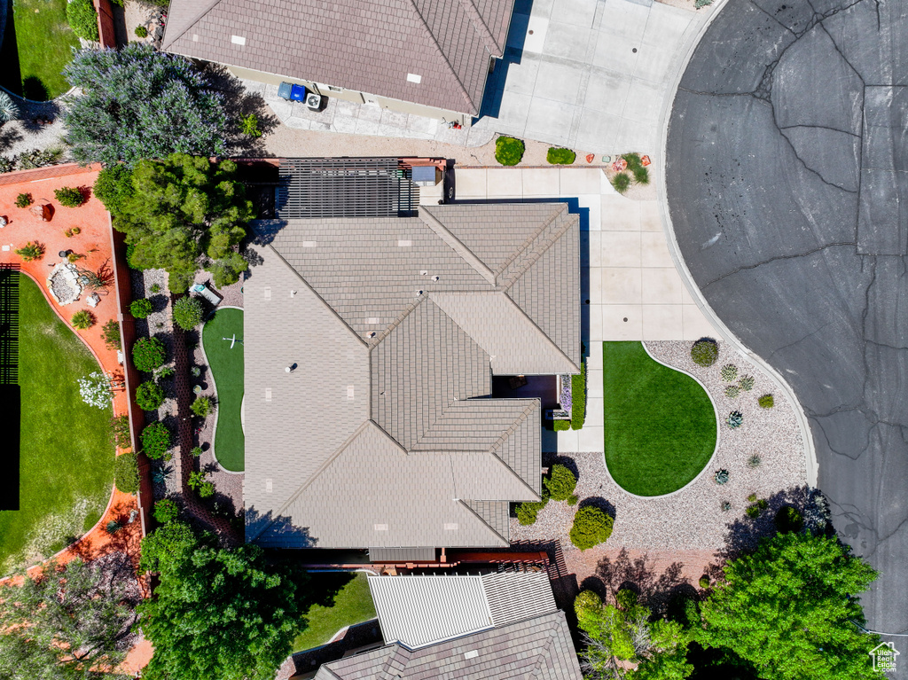 Bird\'s eye view