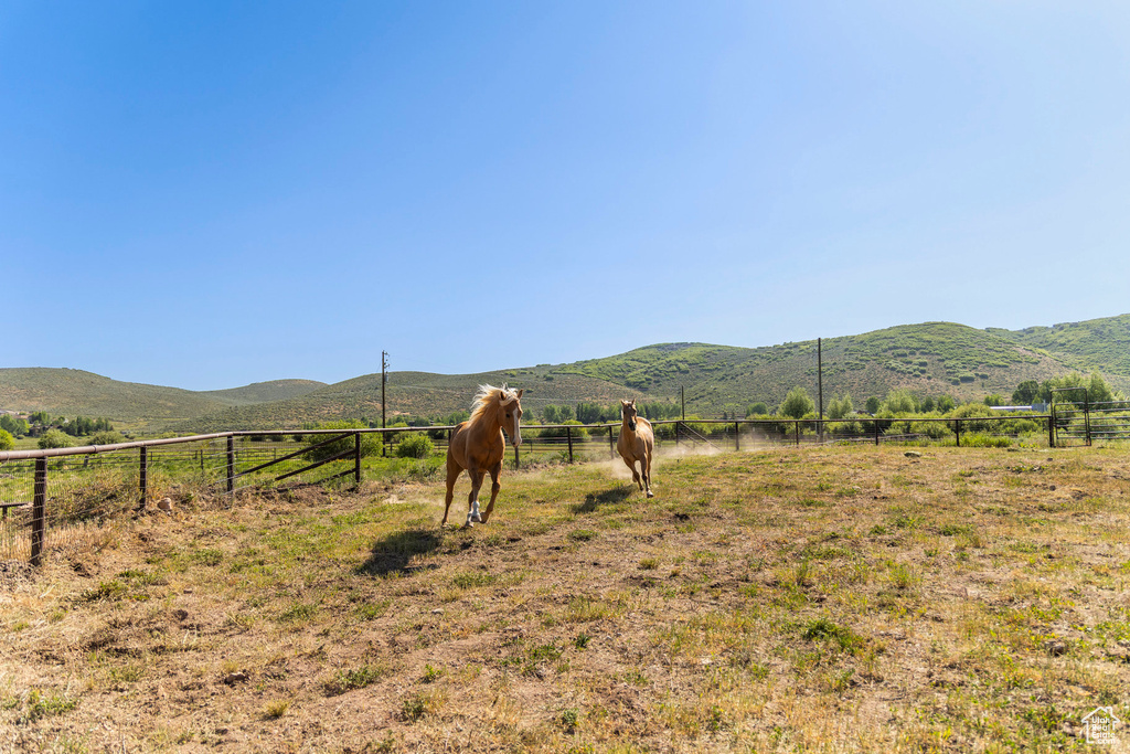 Mountain view with rural landscape