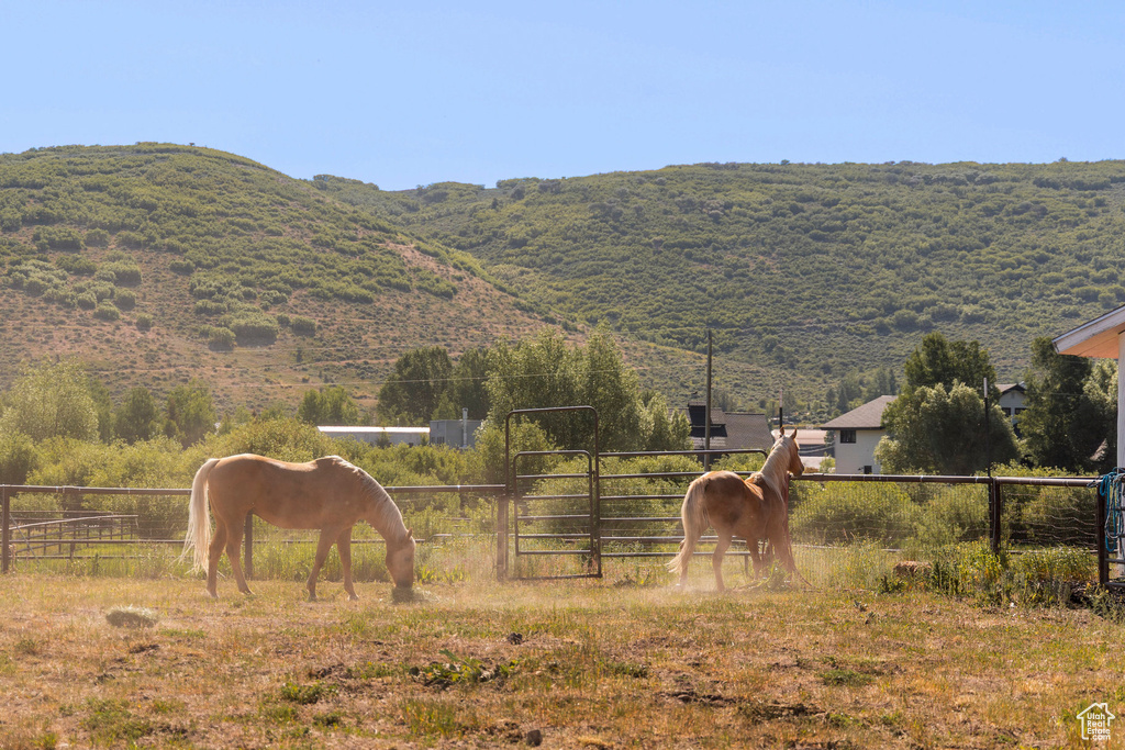 Photo 30 for MLS #2093057 at 266 W Old Ranch Rd