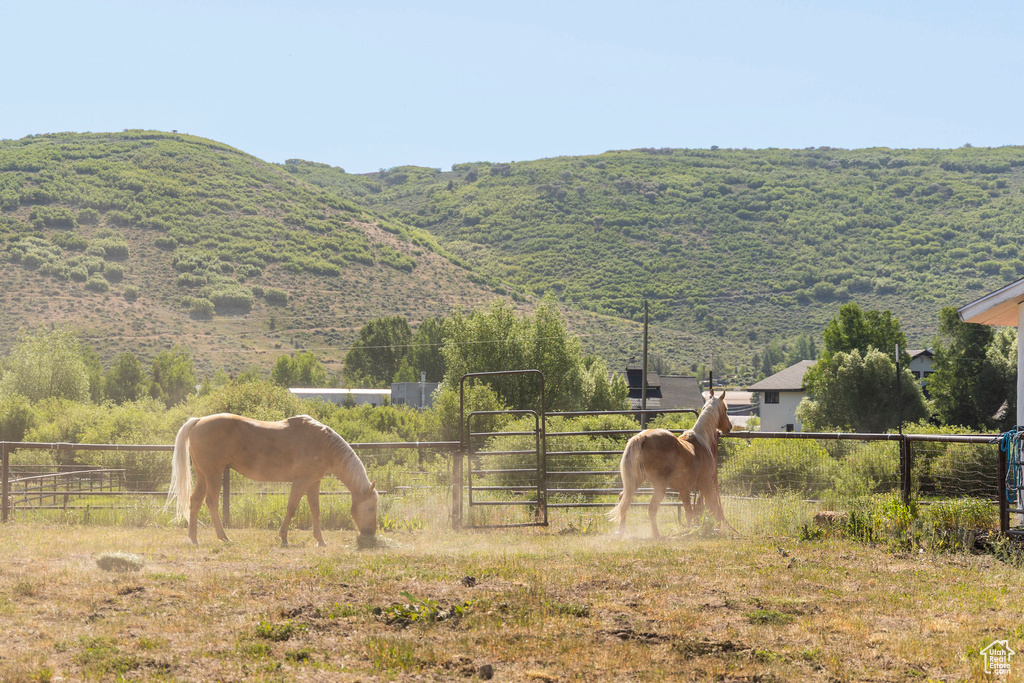 266 OLD RANCH RD Park City, UT 84098