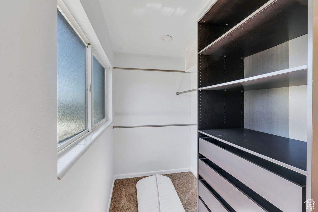 Spacious closet with carpet