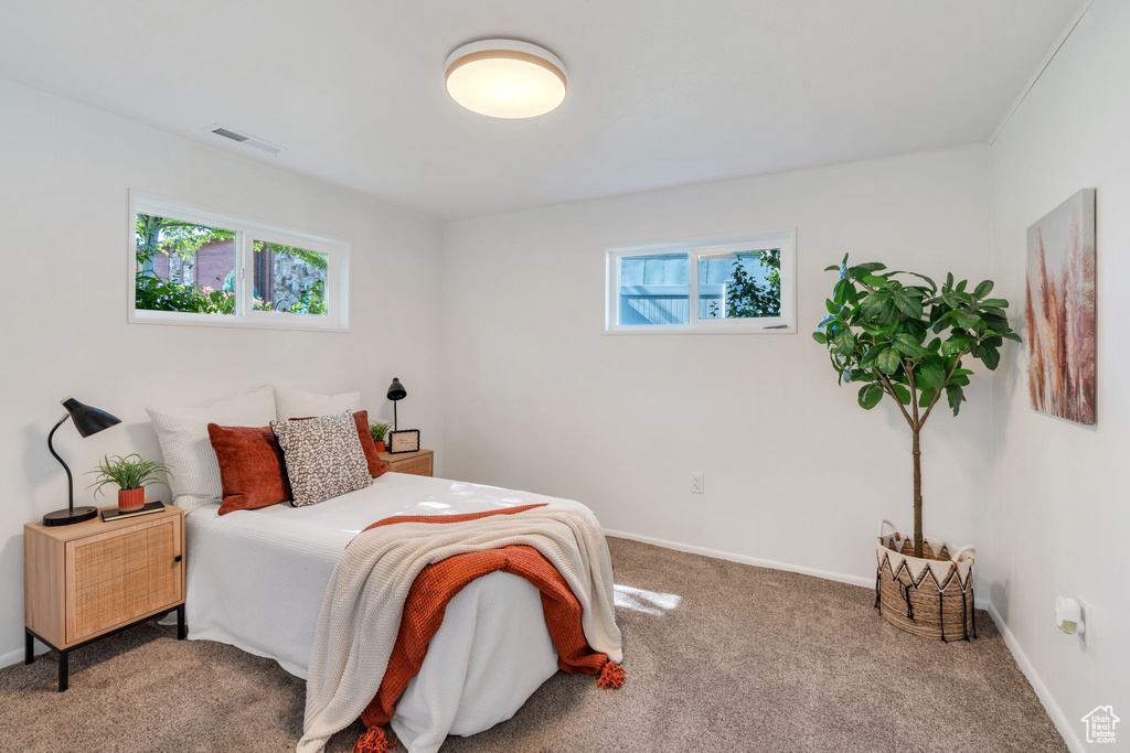 Carpeted bedroom featuring multiple windows