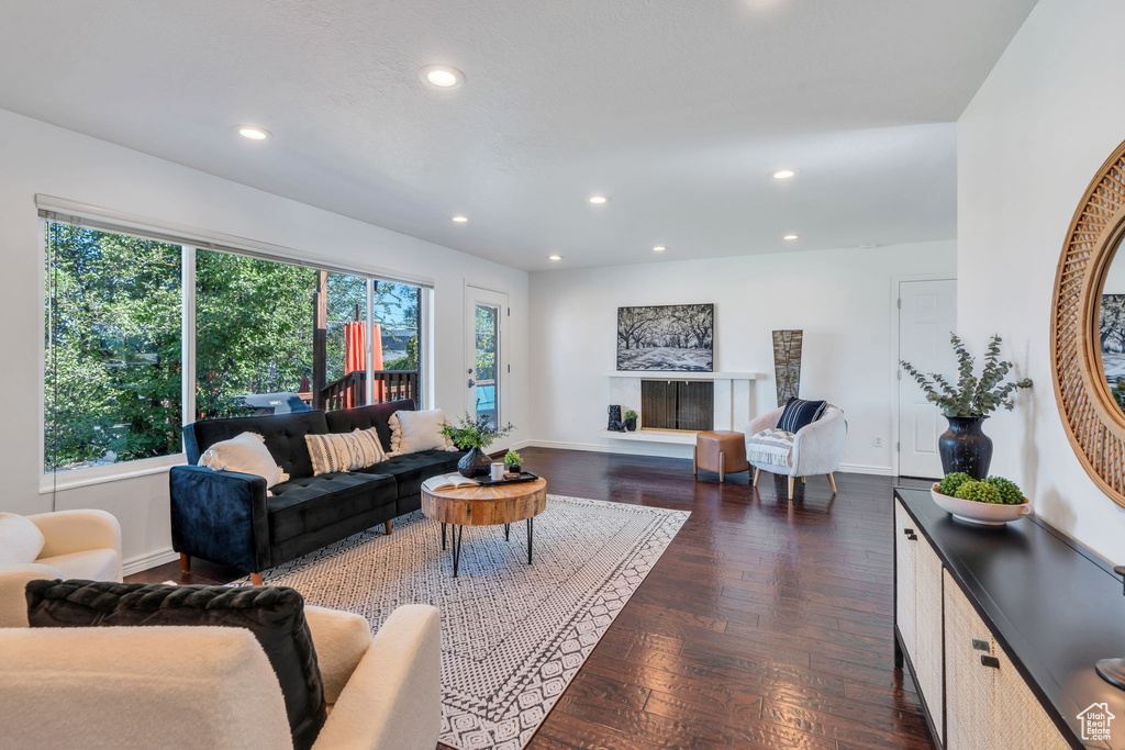 Living room featuring recessed lighting and dark wood-type flooring