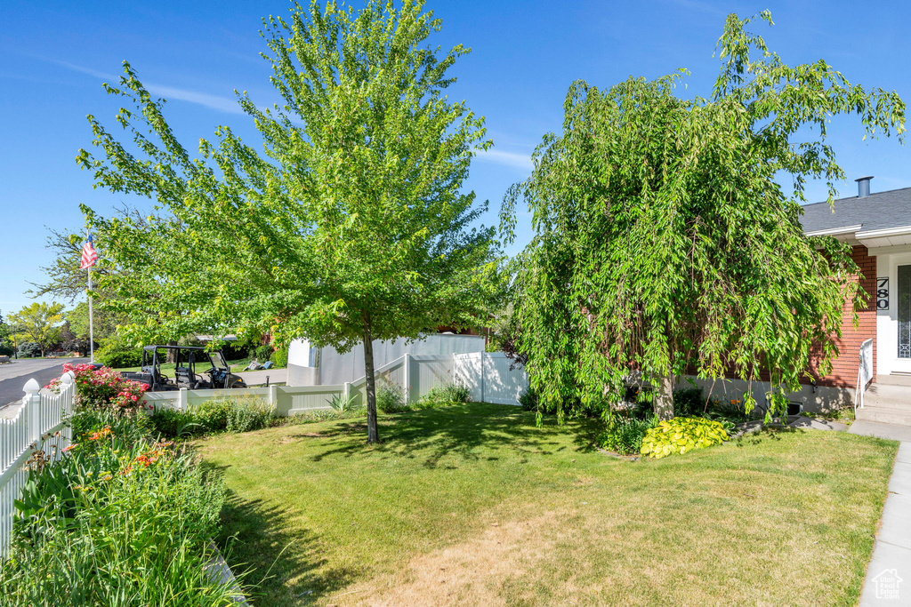 View of fenced backyard