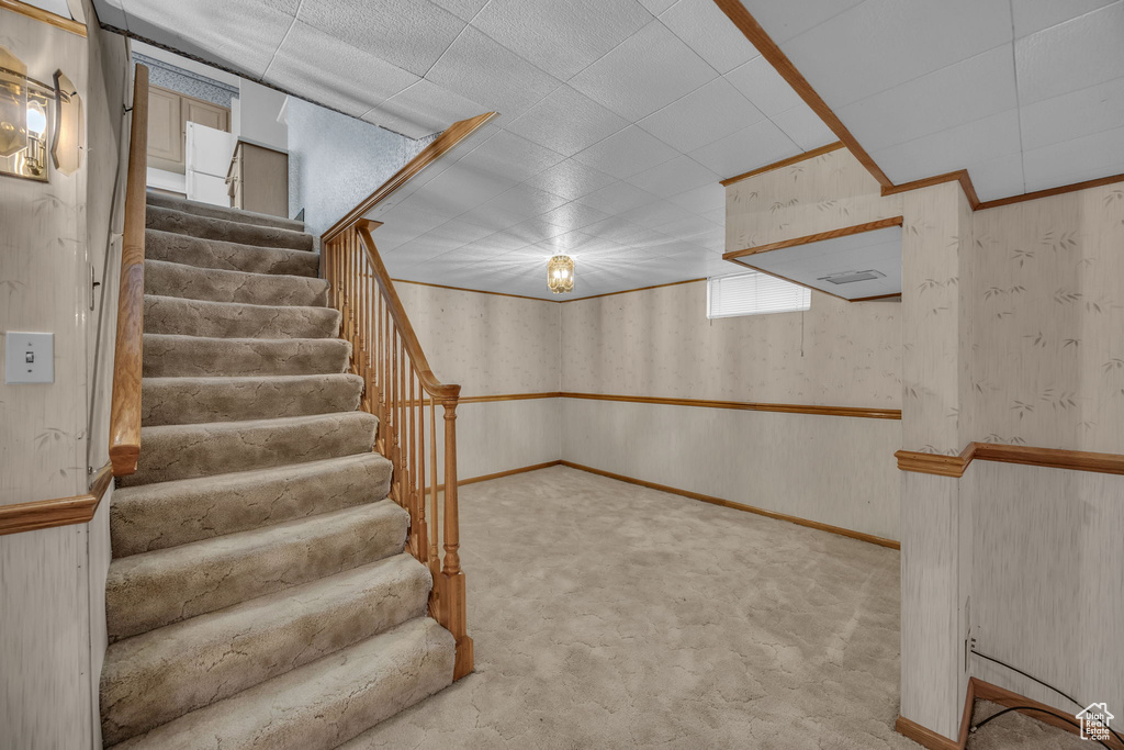 Basement with carpet floors and stairway