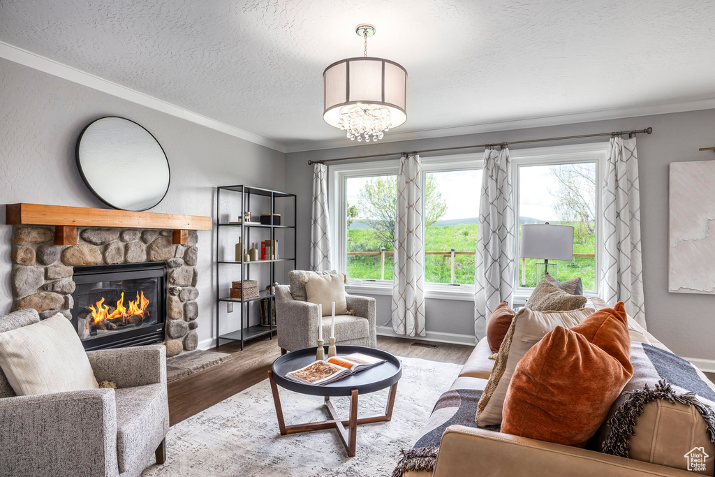 Living room featuring ornamental molding, a fireplace, a textured ceiling, plenty of natural light, and wood finished floors