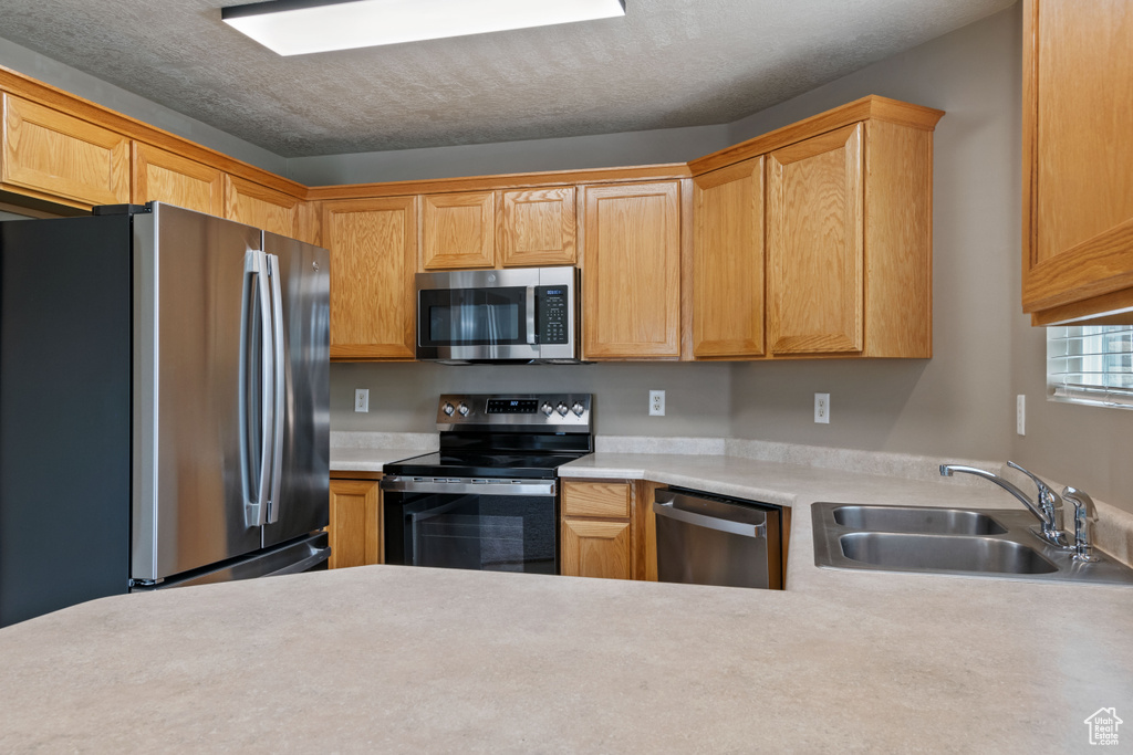Kitchen featuring stainless steel appliances and light countertops