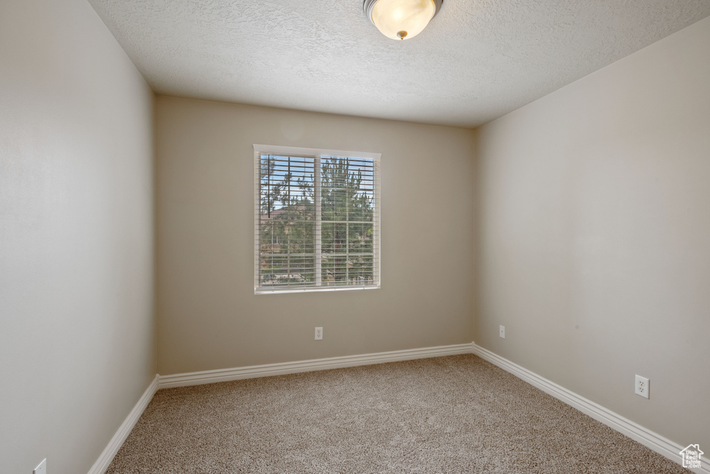 Empty room featuring carpet flooring and a textured ceiling