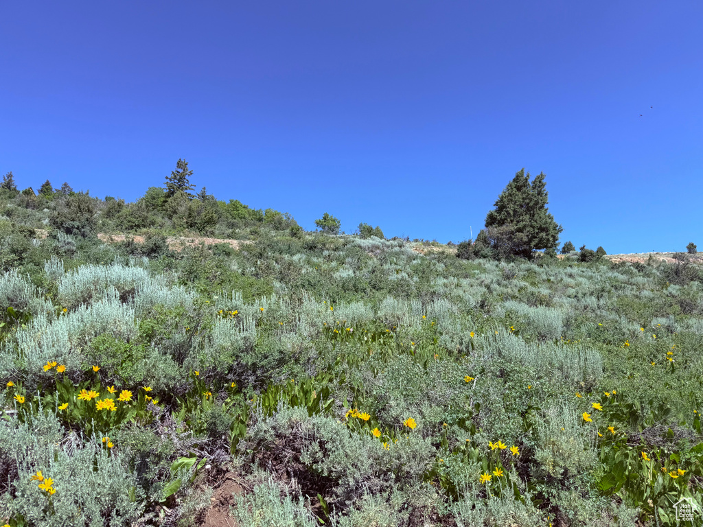 1509 W CEDAR DR Garden City, UT 84028