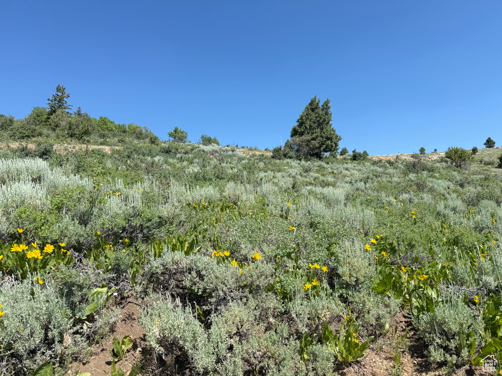 1509 W CEDAR DR Garden City, UT 84028