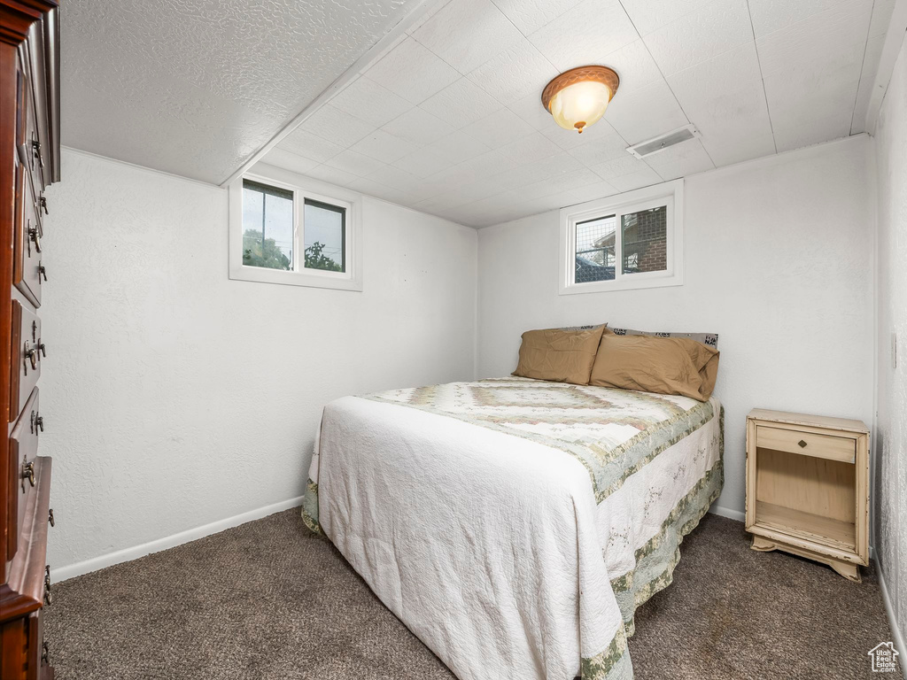 Carpeted bedroom with multiple windows