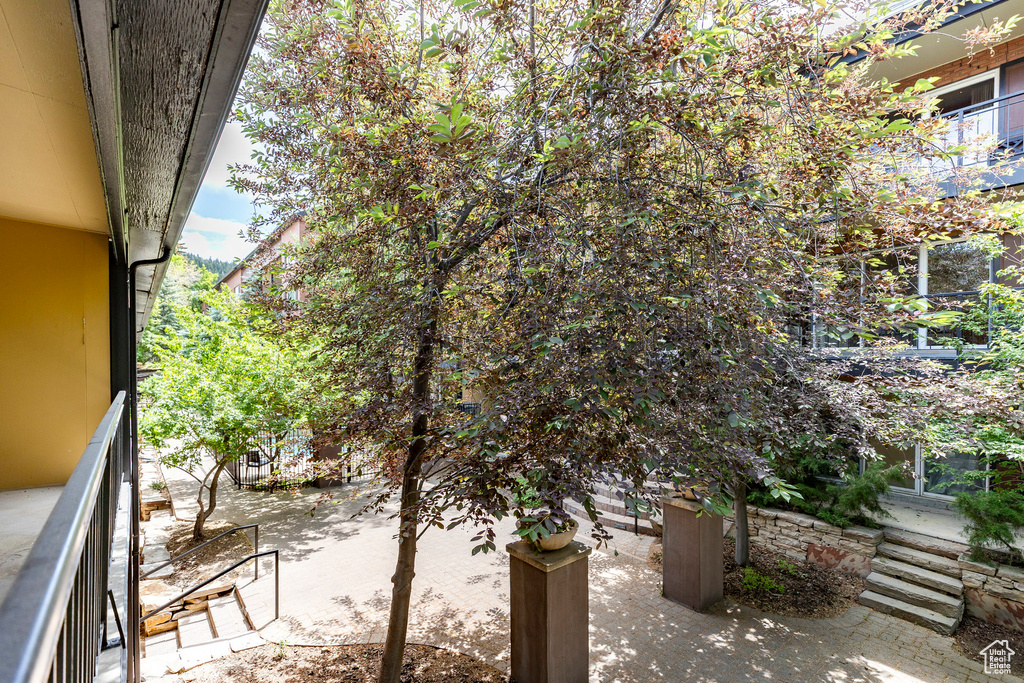 View of patio
