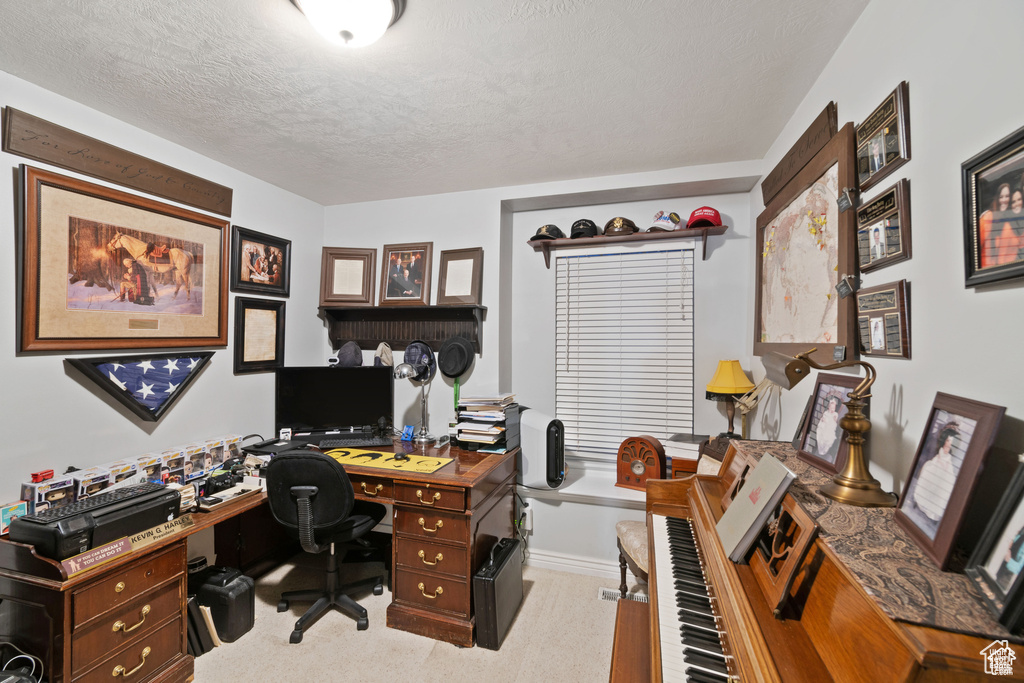 Carpeted office space with a textured ceiling