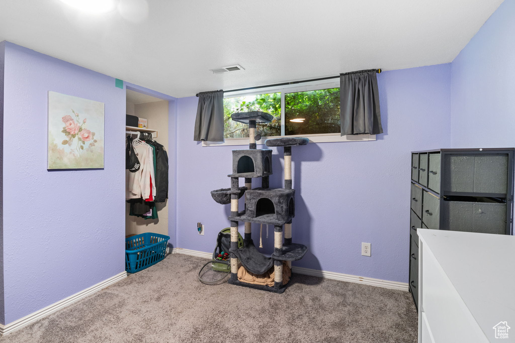 Unfurnished bedroom featuring carpet flooring, a closet, and a walk in closet