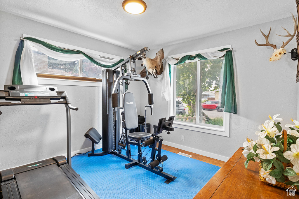 Workout area featuring plenty of natural light and wood finished floors