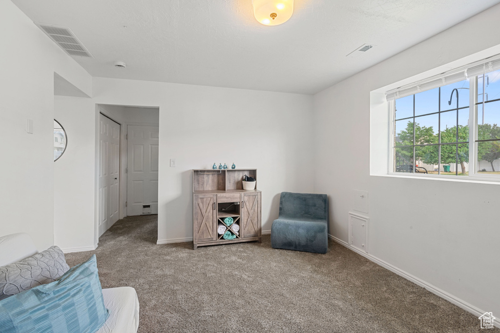 Sitting room featuring carpet flooring and a baseboard radiator