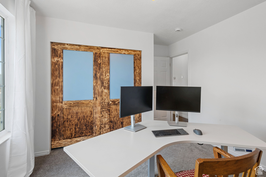 Office space featuring carpet flooring