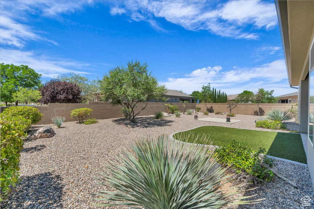 View of fenced backyard