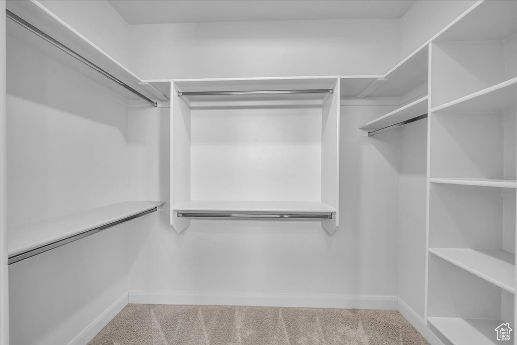 Walk in closet featuring carpet floors
