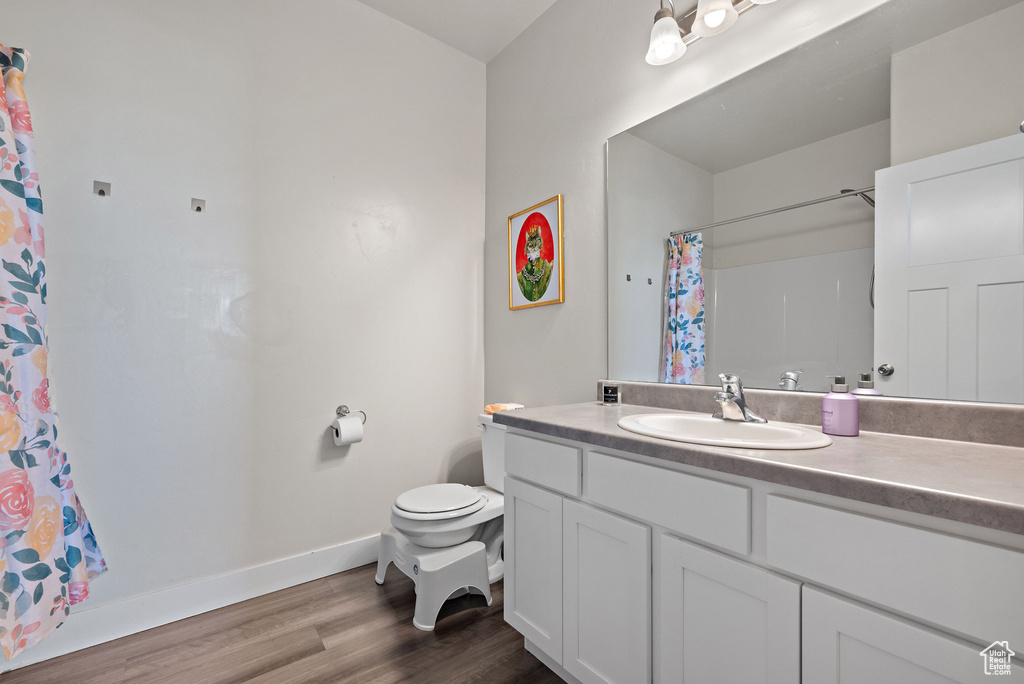 Bathroom with vanity, wood finished floors, and a shower with shower curtain