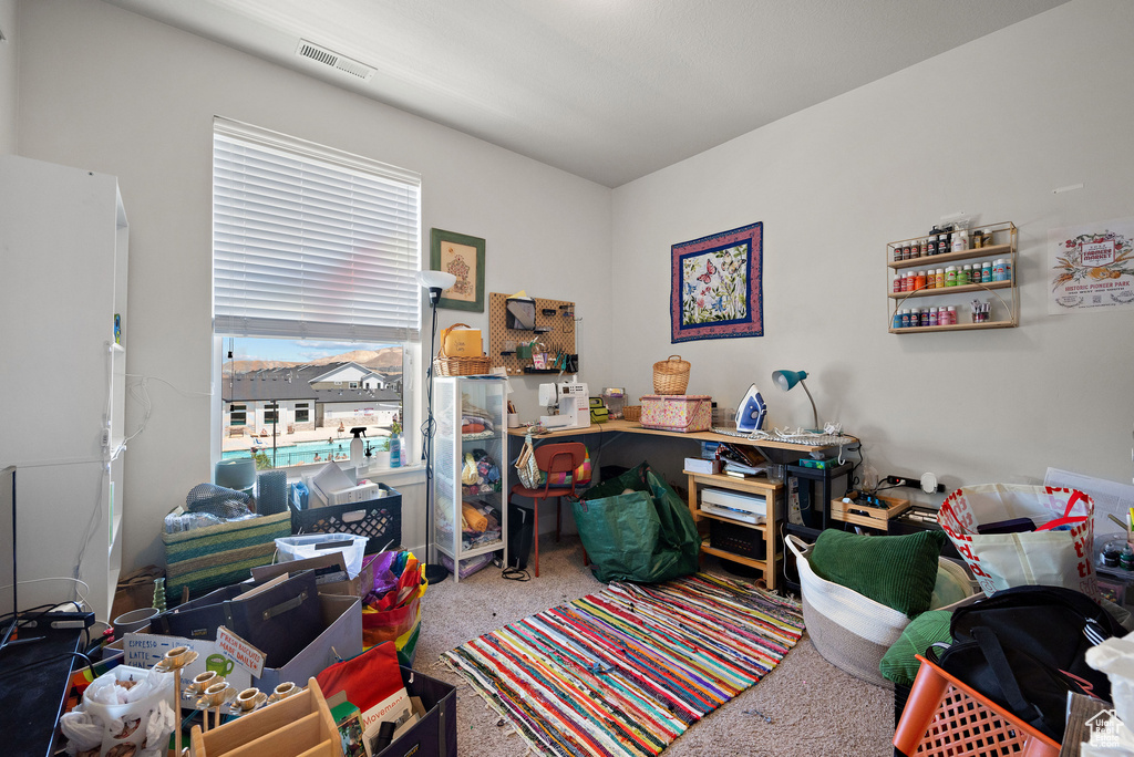 View of carpeted office space