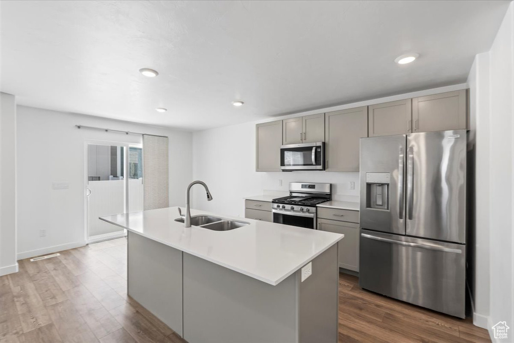 Kitchen featuring stainless steel appliances, gray cabinets, wood finished floors, an island with sink, and light countertops