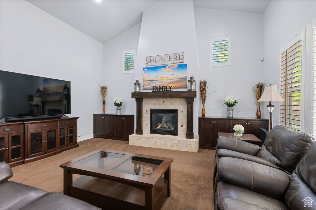 Carpeted living room with high vaulted ceiling and a glass covered fireplace