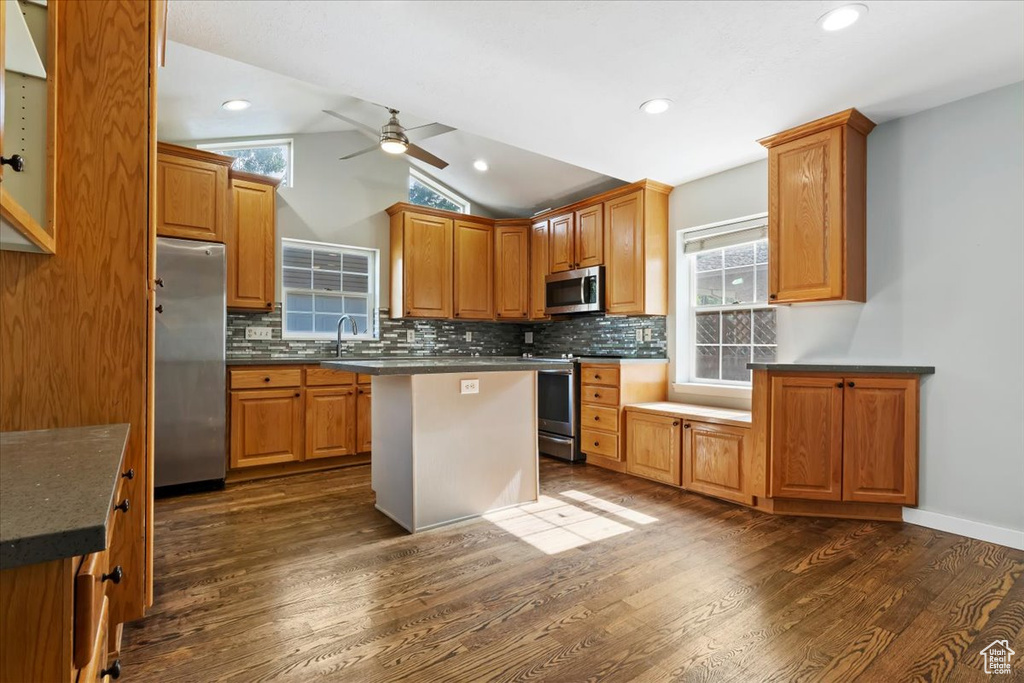 Kitchen with stainless steel appliances, vaulted ceiling, a ceiling fan, dark wood-style flooring, and tasteful backsplash