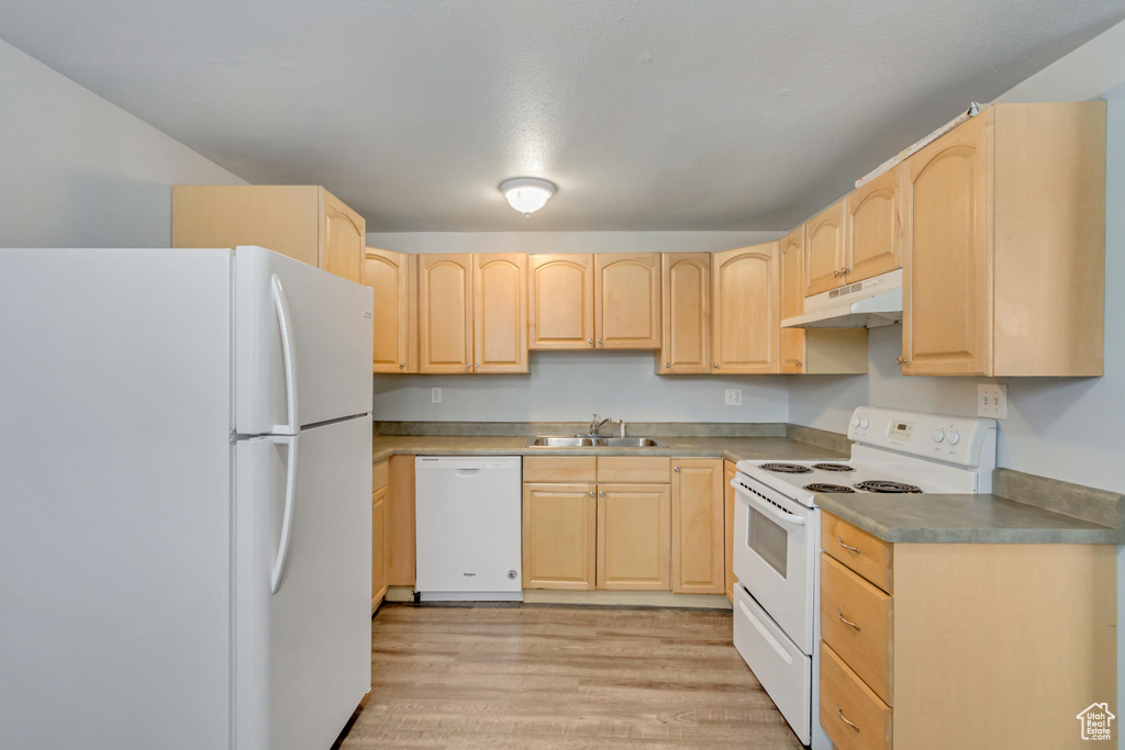 Kitchen featuring white appliances, light brown cabinets, under cabinet range hood, a sink, and light wood-style floors
