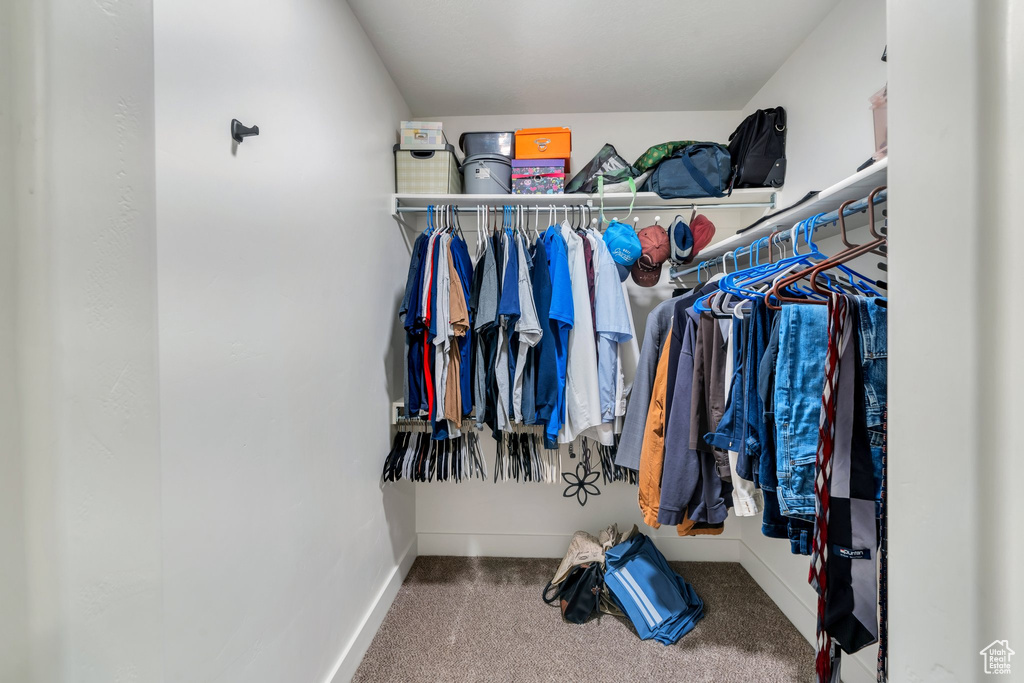 Spacious closet with carpet floors