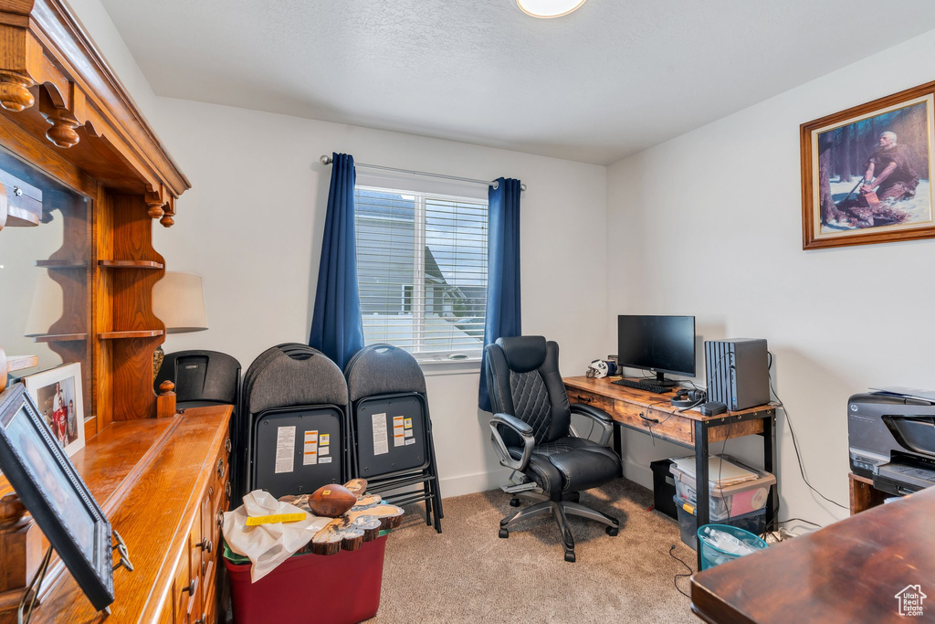 Office space featuring carpet floors