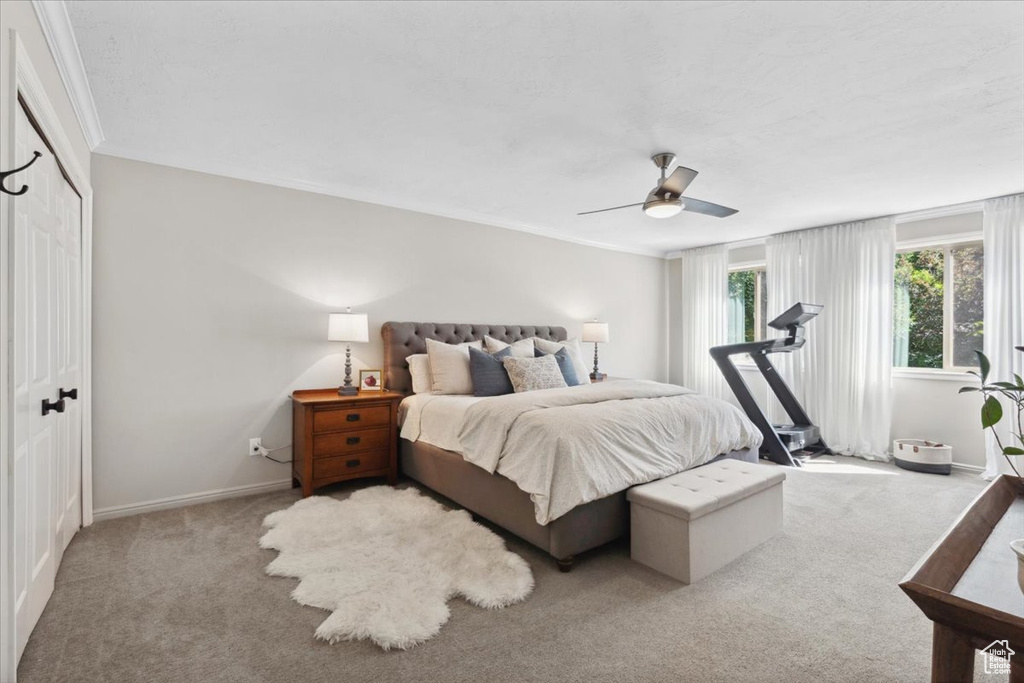 Carpeted bedroom with a ceiling fan and crown molding
