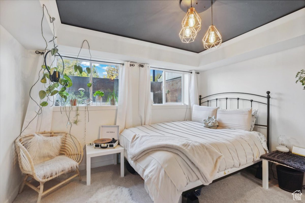 Carpeted bedroom featuring a tray ceiling