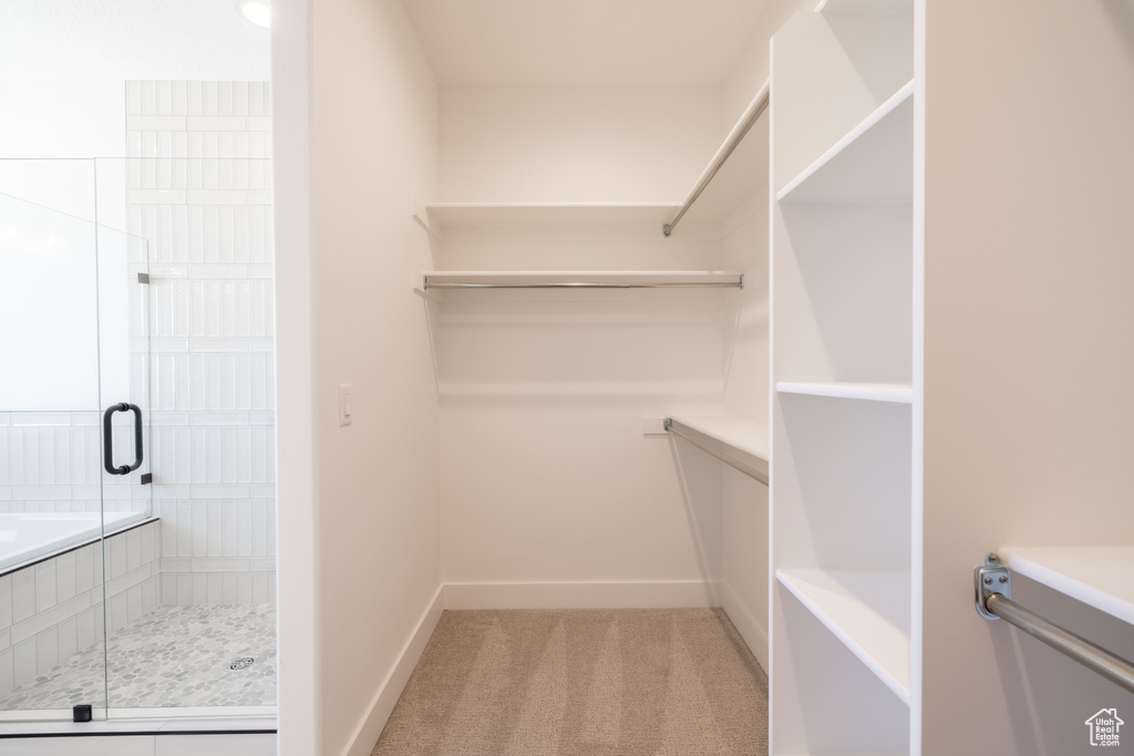 Walk in closet with light carpet