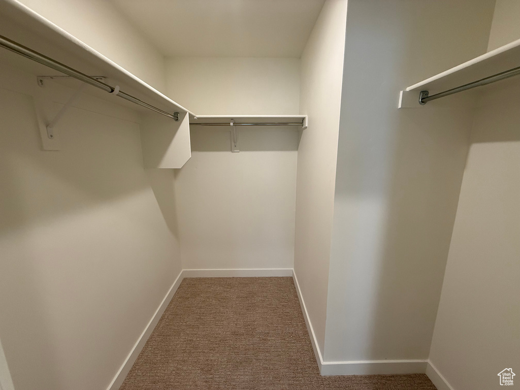 Walk in closet featuring carpet