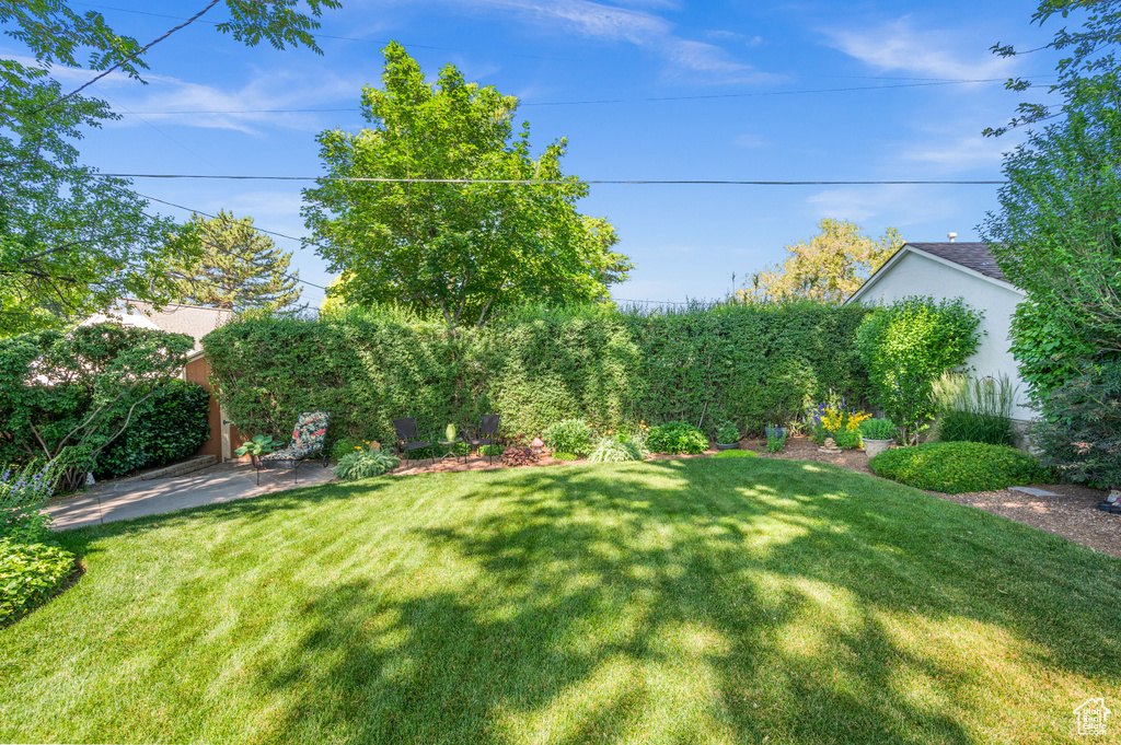 View of yard featuring a patio