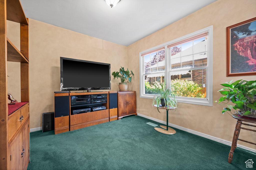 Living area with dark colored carpet