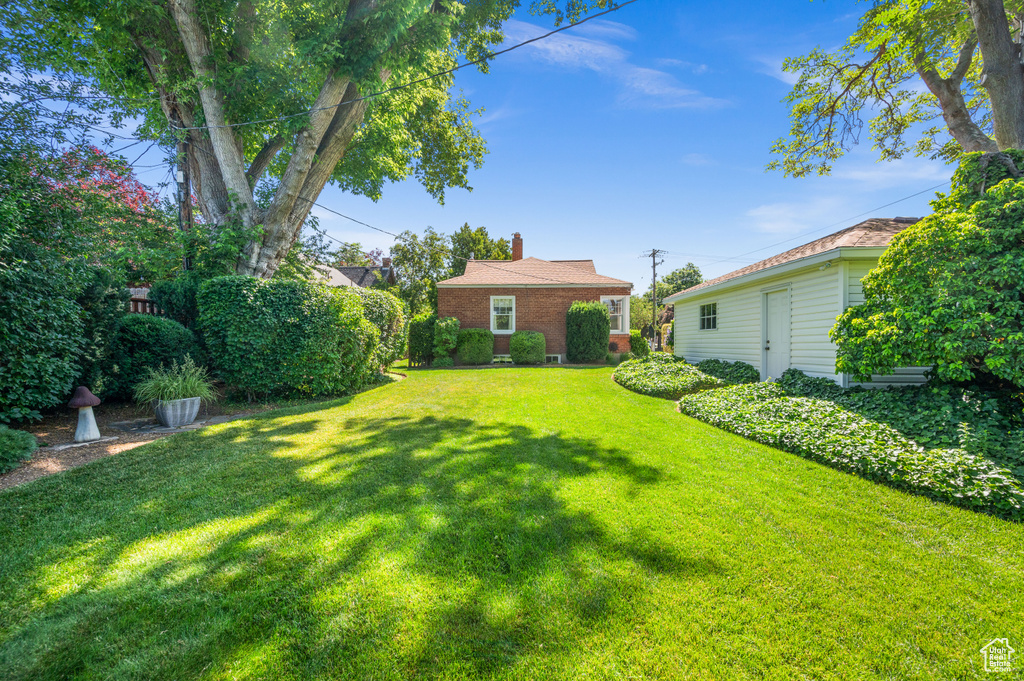 View of grassy yard