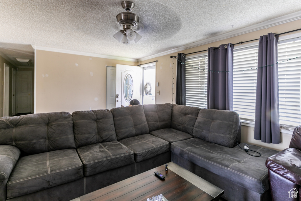Living room featuring a textured ceiling, ornamental molding, and a ceiling fan