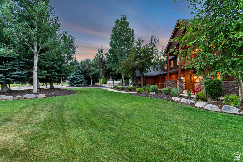 Yard at dusk with a lawn
