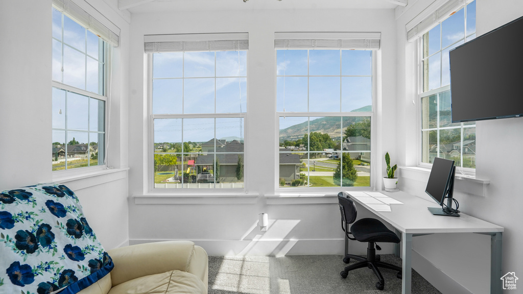 Carpeted office with baseboards
