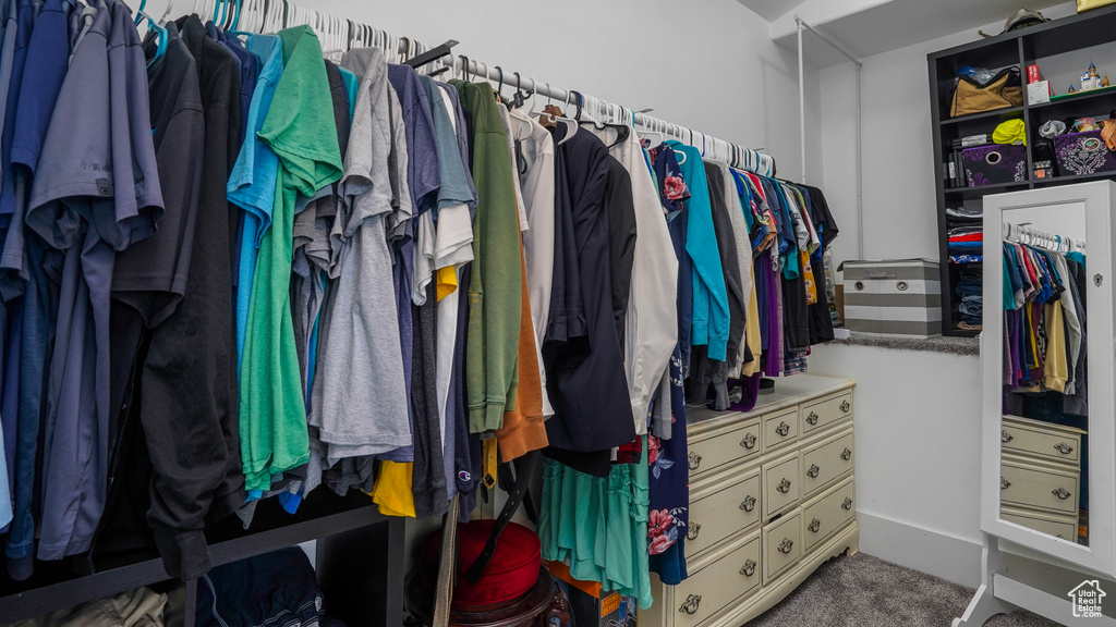 Spacious closet featuring carpet floors